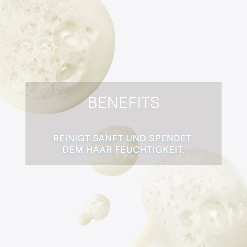 WELEDA festes Shampoo Feuchtigkeit & Glanz
