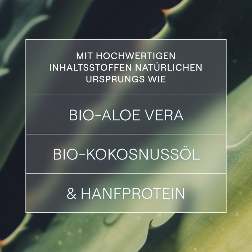 WELEDA festes Shampoo Feuchtigkeit & Glanz