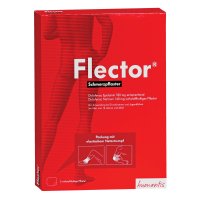 FLECTOR Schmerzpflaster+elatischer Netzstrumpf
