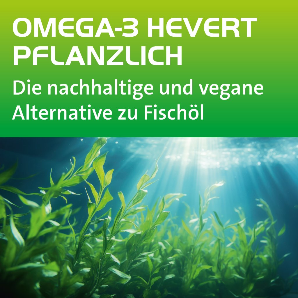 OMEGA-3 HEVERT pflanzlich Weichkapseln