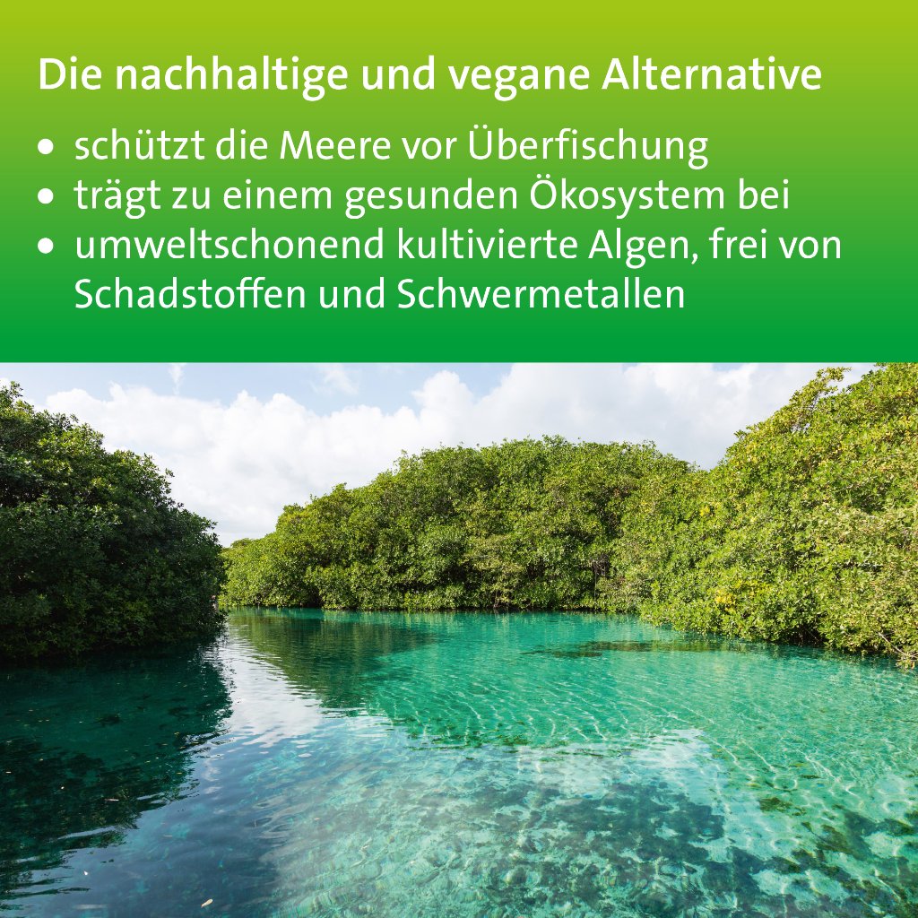 OMEGA-3 HEVERT pflanzlich Weichkapseln