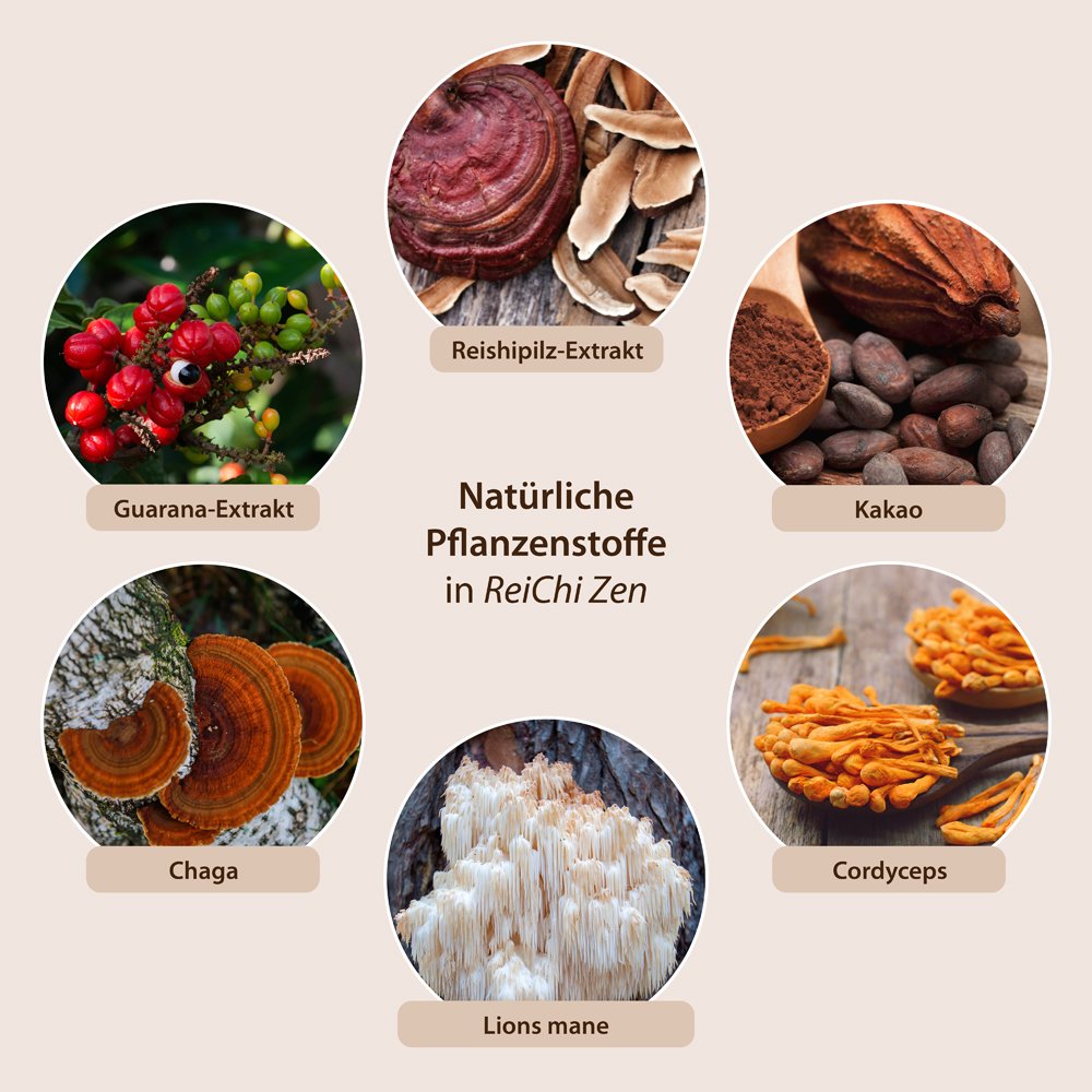 ReiChi Zen Pilz-Kaffee mit Reishi Guarana Chaga Cordyceps