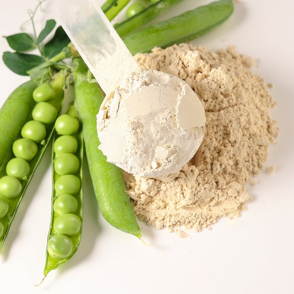 Vegan Protein HIT Proteinpulver mit Erbse + Kreatin + Enzyme