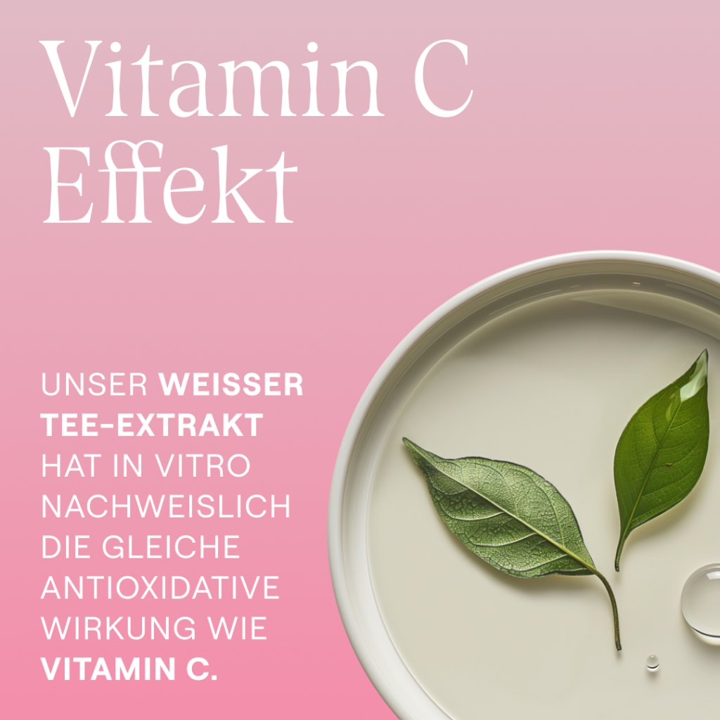 WELEDA glättende Tagespflege Wildrose & weißer Tee