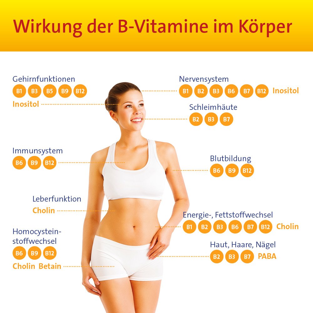 Vitamin B Complete Hevert all-in-one
