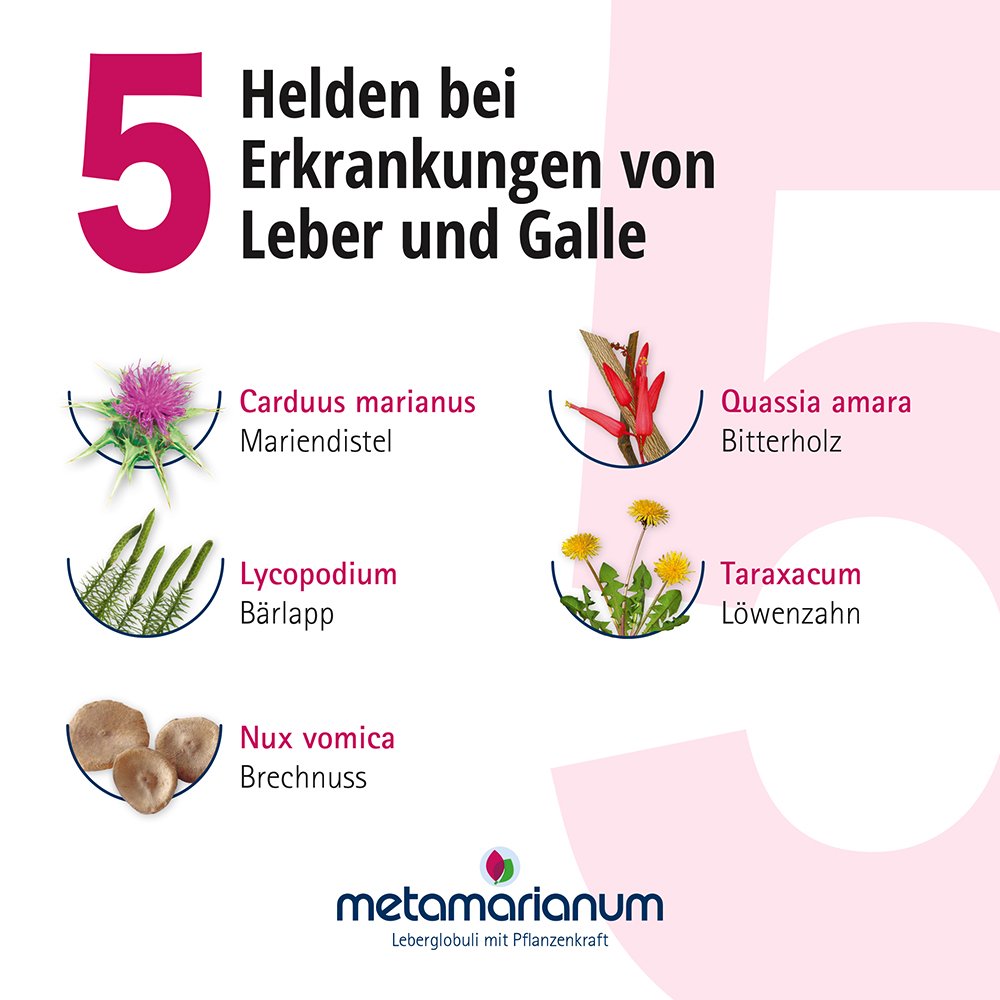 METAMARIANUM Leberglobuli