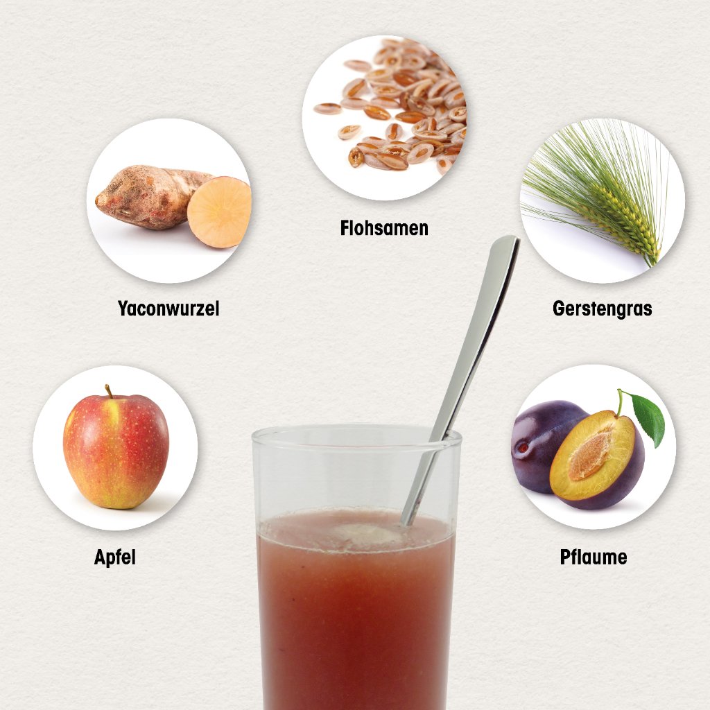 DR.BÖHM Darm aktiv Pulver