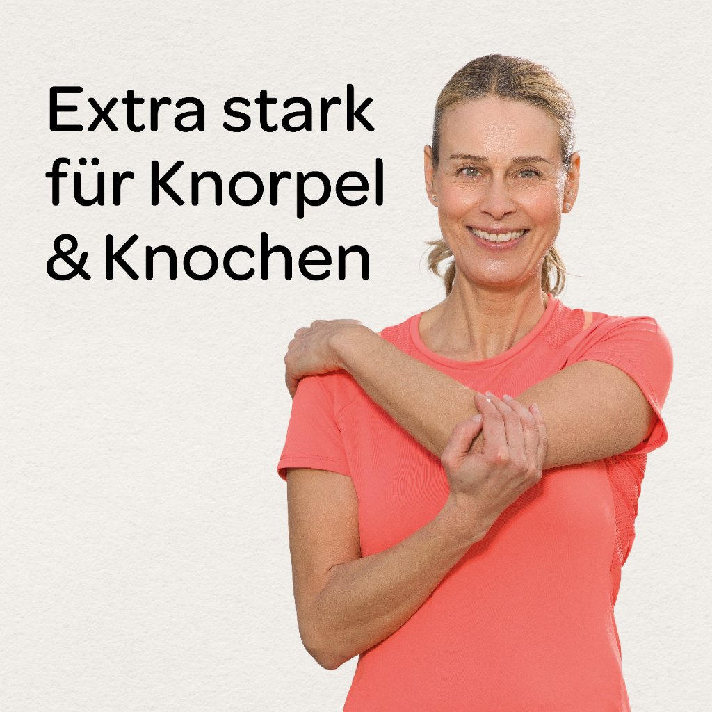 DR.BÖHM Knorpel & Knochen intensiv Trinkpulver