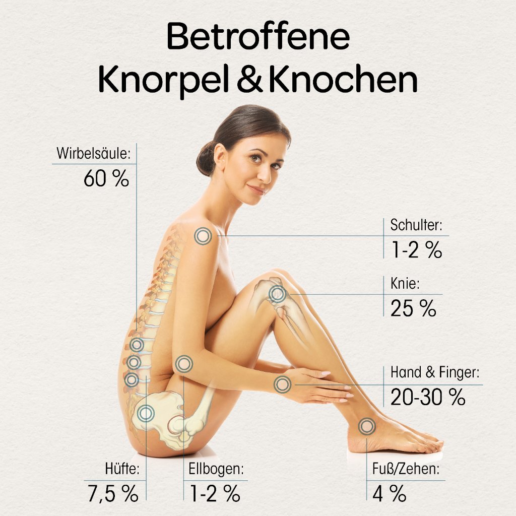 DR.BÖHM Knorpel & Knochen Tabletten