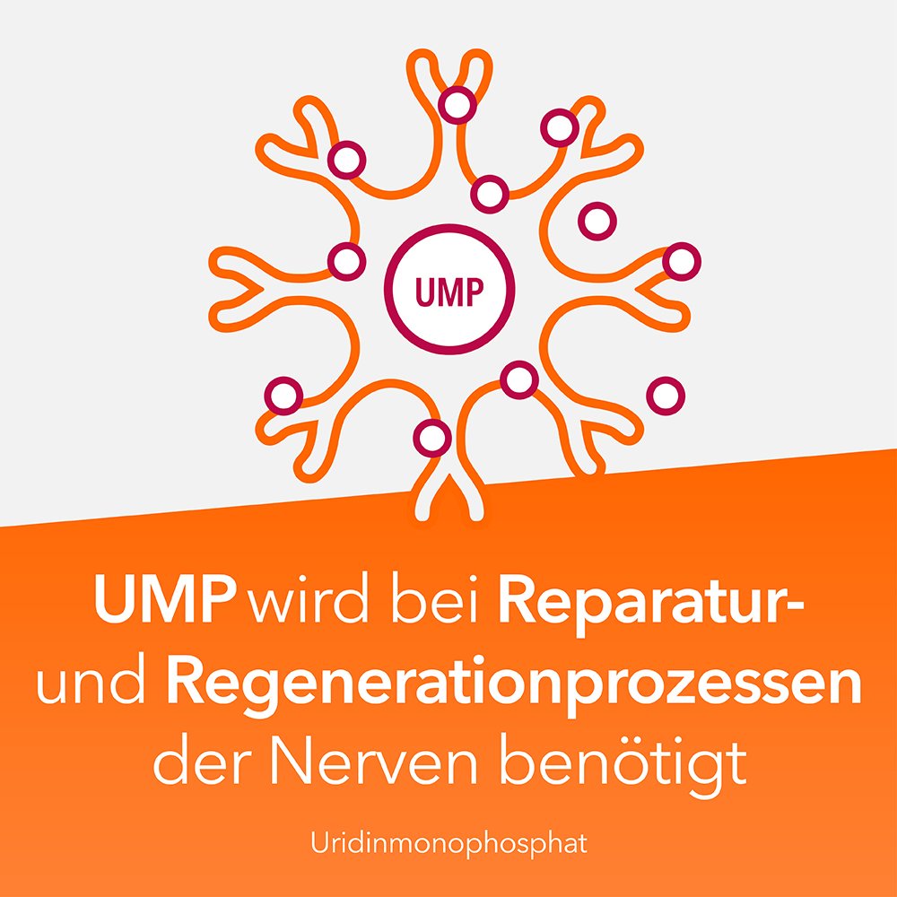 NEUROPAX-ratiopharm forte Kapseln