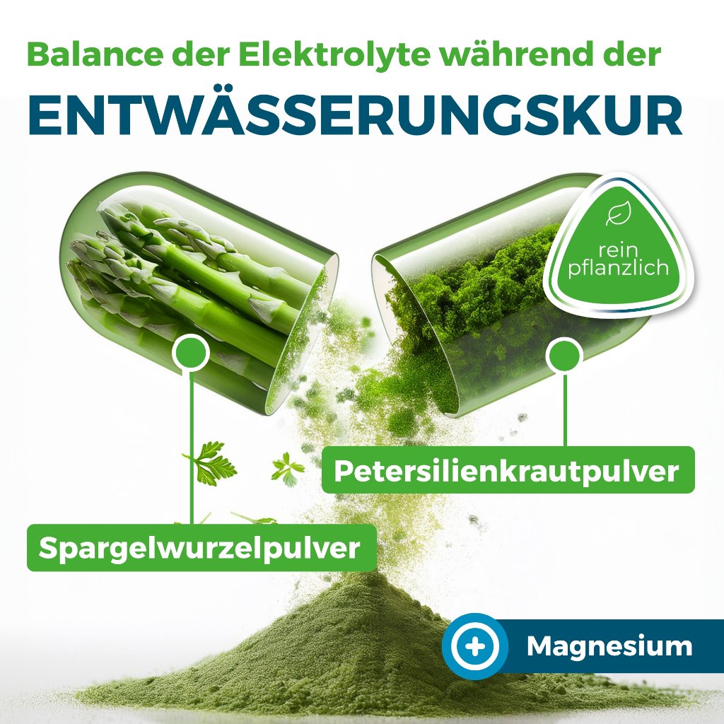 NYRAX Aqua Balance Phytokomplex während Entwässerungs-Kuren