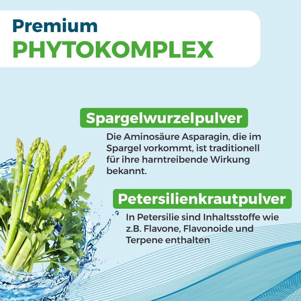 NYRAX Aqua Balance Phytokomplex während Entwässerungs-Kuren