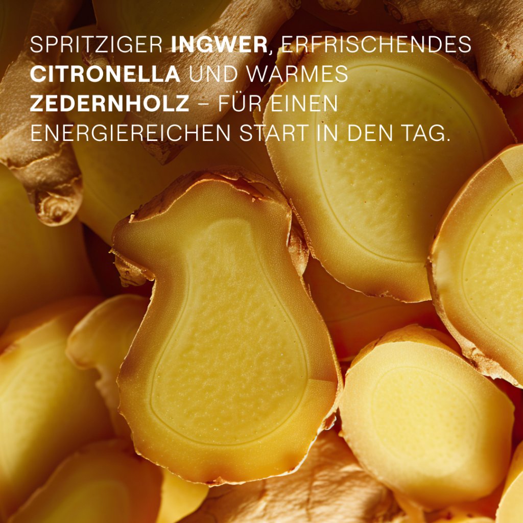 WELEDA Energy Shower Gel Ingwer
