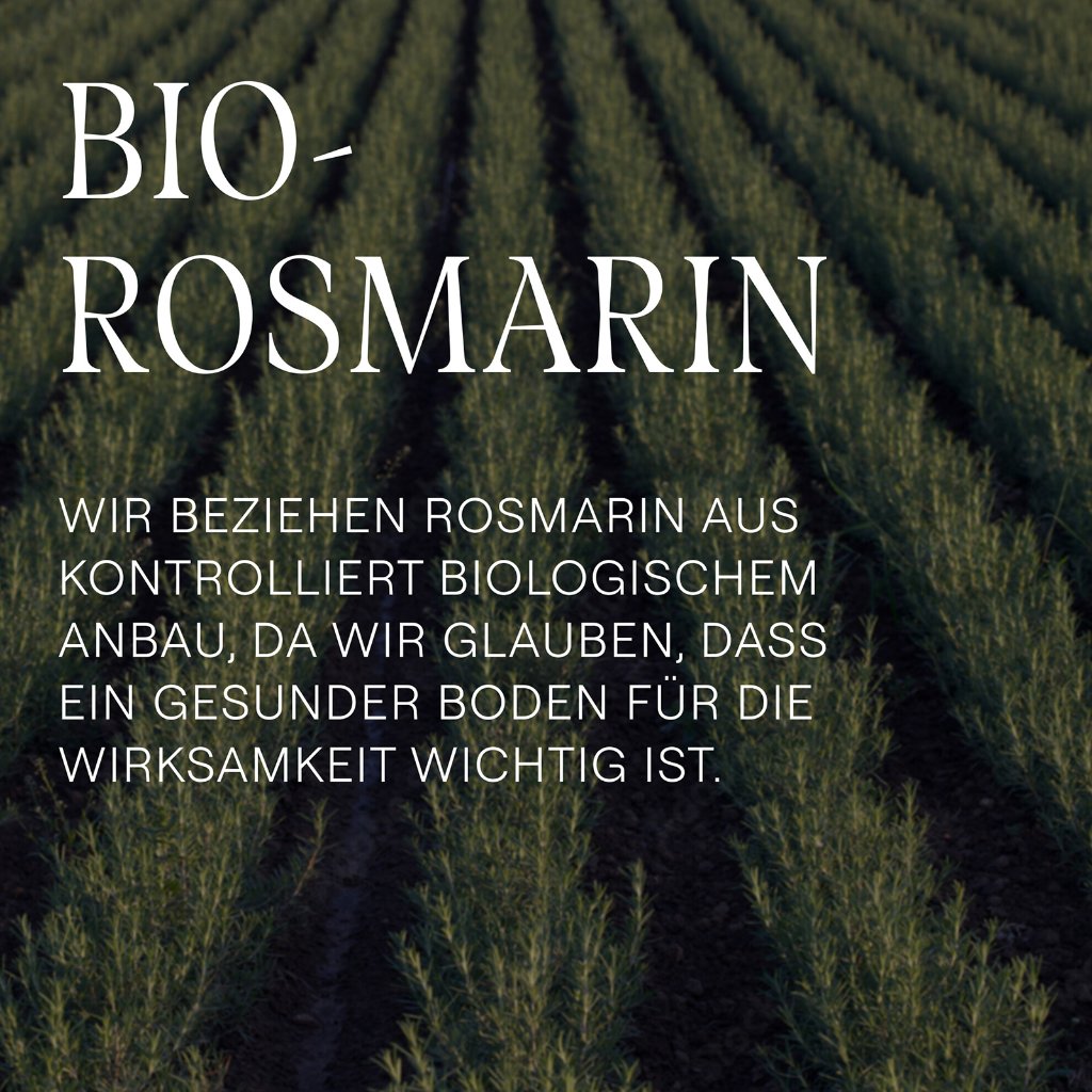 WELEDA Rosmarin Revitalising Shampoo