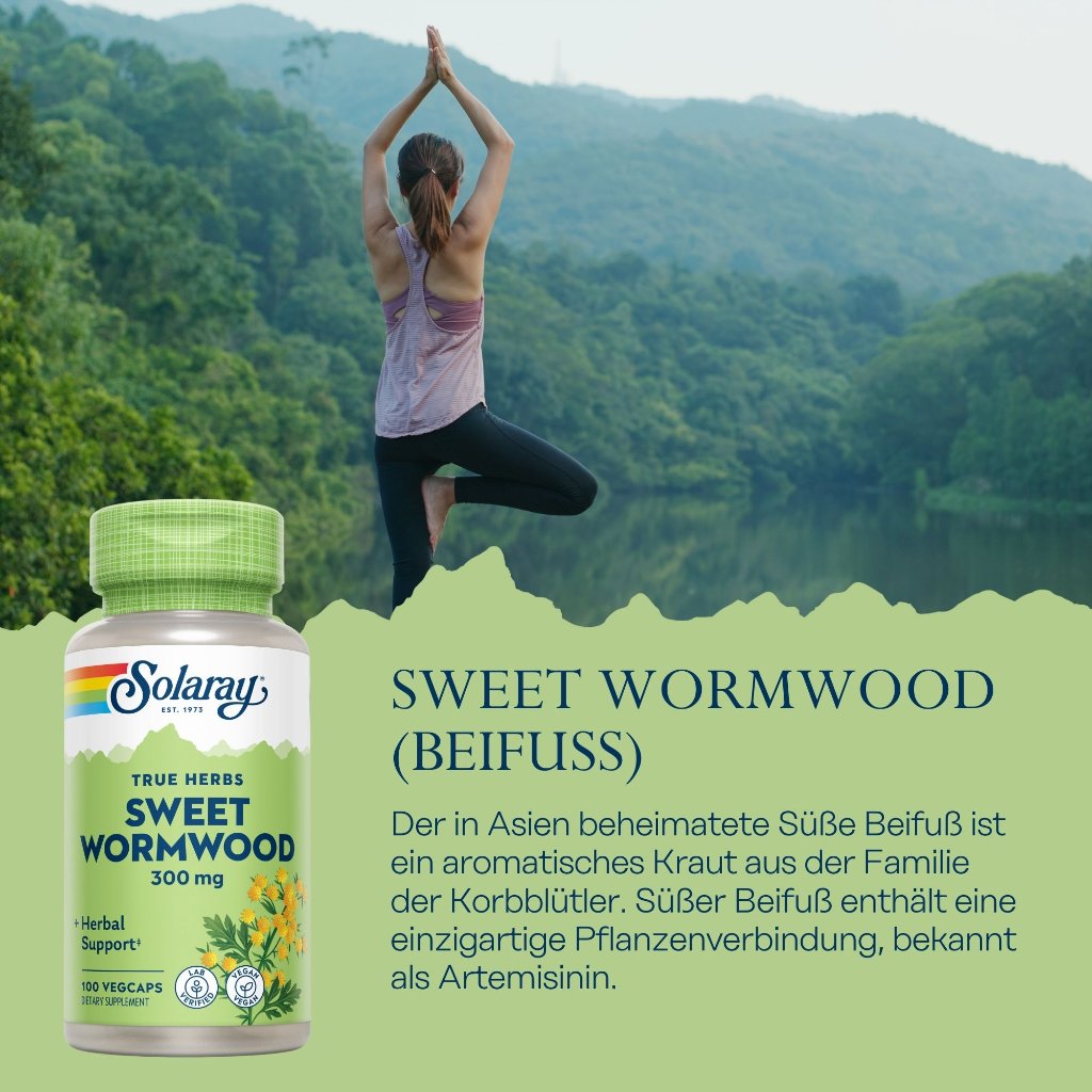 Solaray Sweet Wormwood (Beifuß) 300 mg