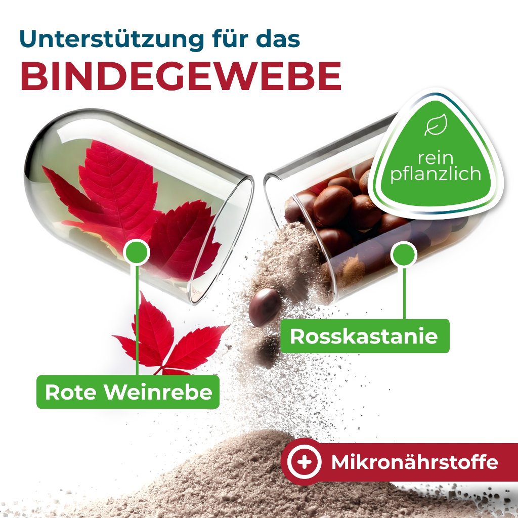 NYRAX Veno Balance Phytokomplex Bindegewebe Kaps.