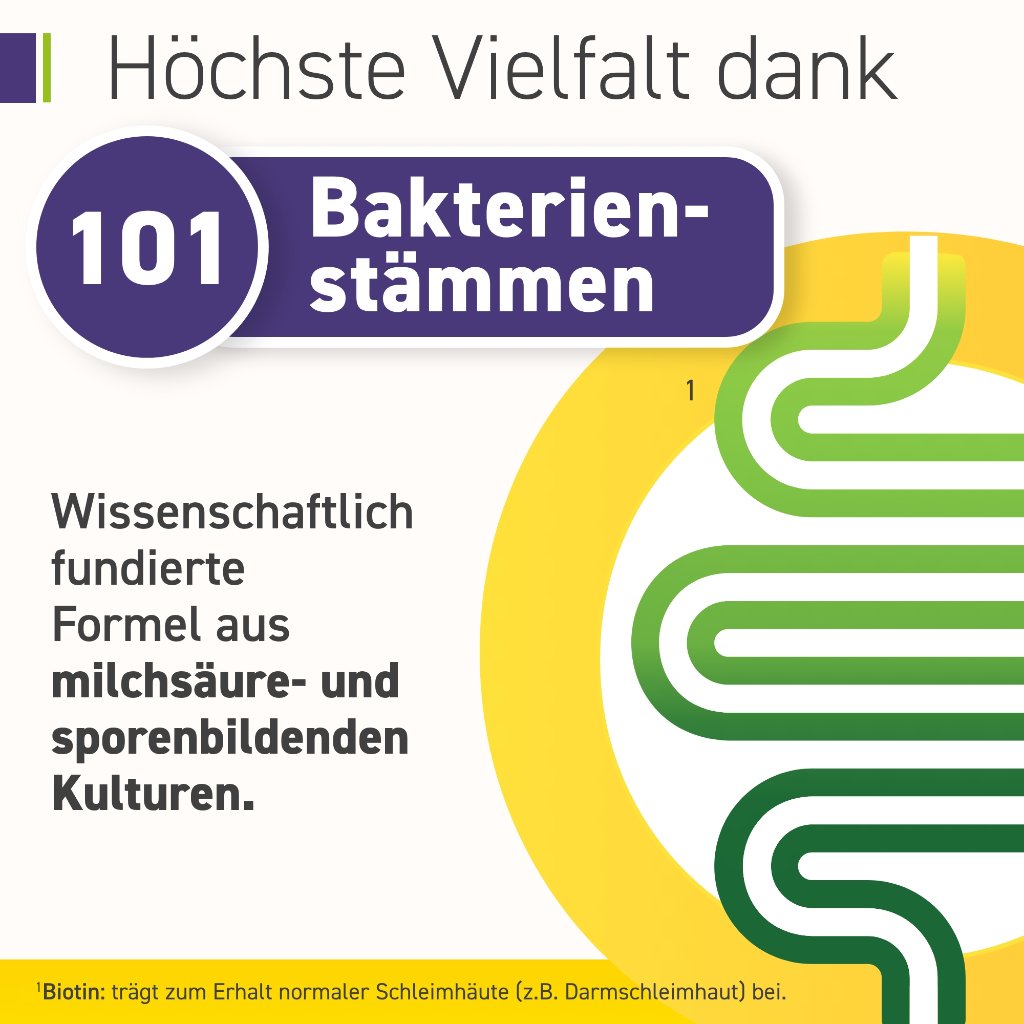 OMNIFLORA Complete 101 Bakterienstämme 100 Mrd.KBE