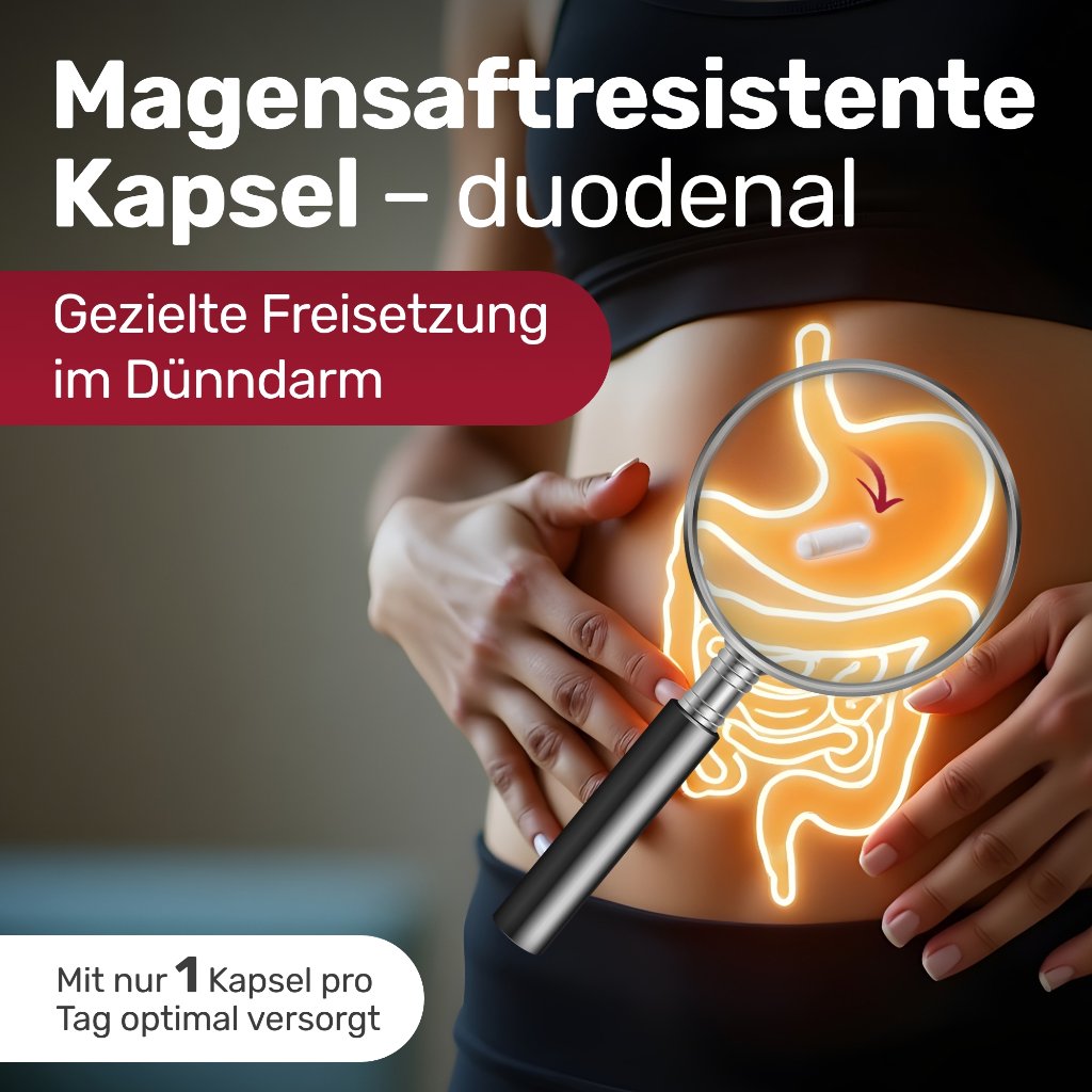 GLYCOWOHL Eisen-Komplex duodenal 40 mg+Vit.C Kaps.
