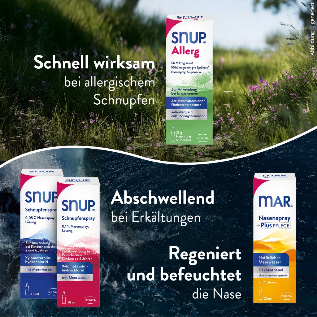 SNUP Allerg 137 μg/50 μg pro Sprühstoß Nasenspray