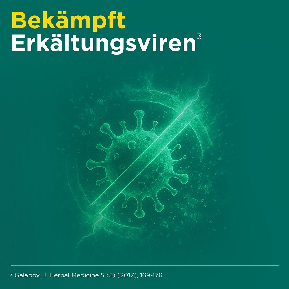 MEDITONSIN Extract pflanzliche Erkältungstabletten