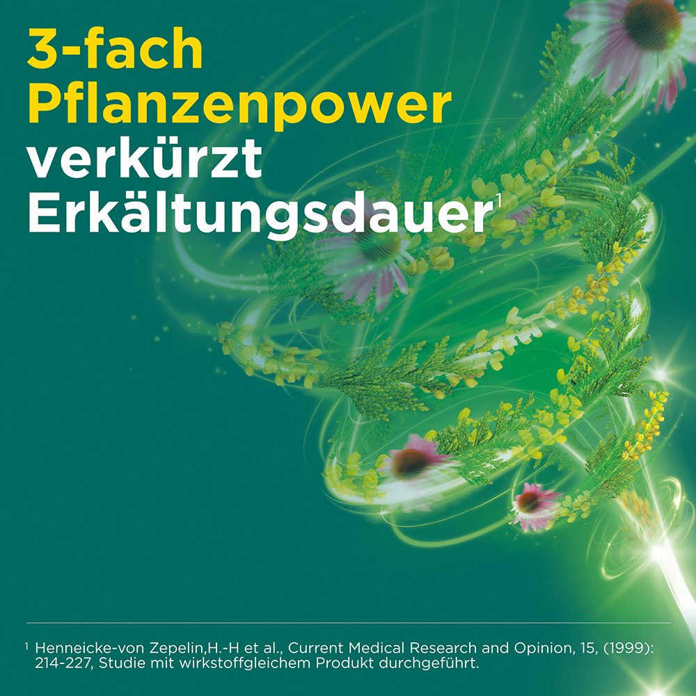 MEDITONSIN Extract pflanzliche Erkältungstabletten