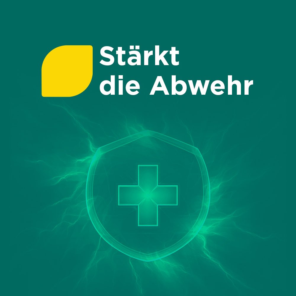 MEDITONSIN Extract pflanzliche Erkältungstabletten