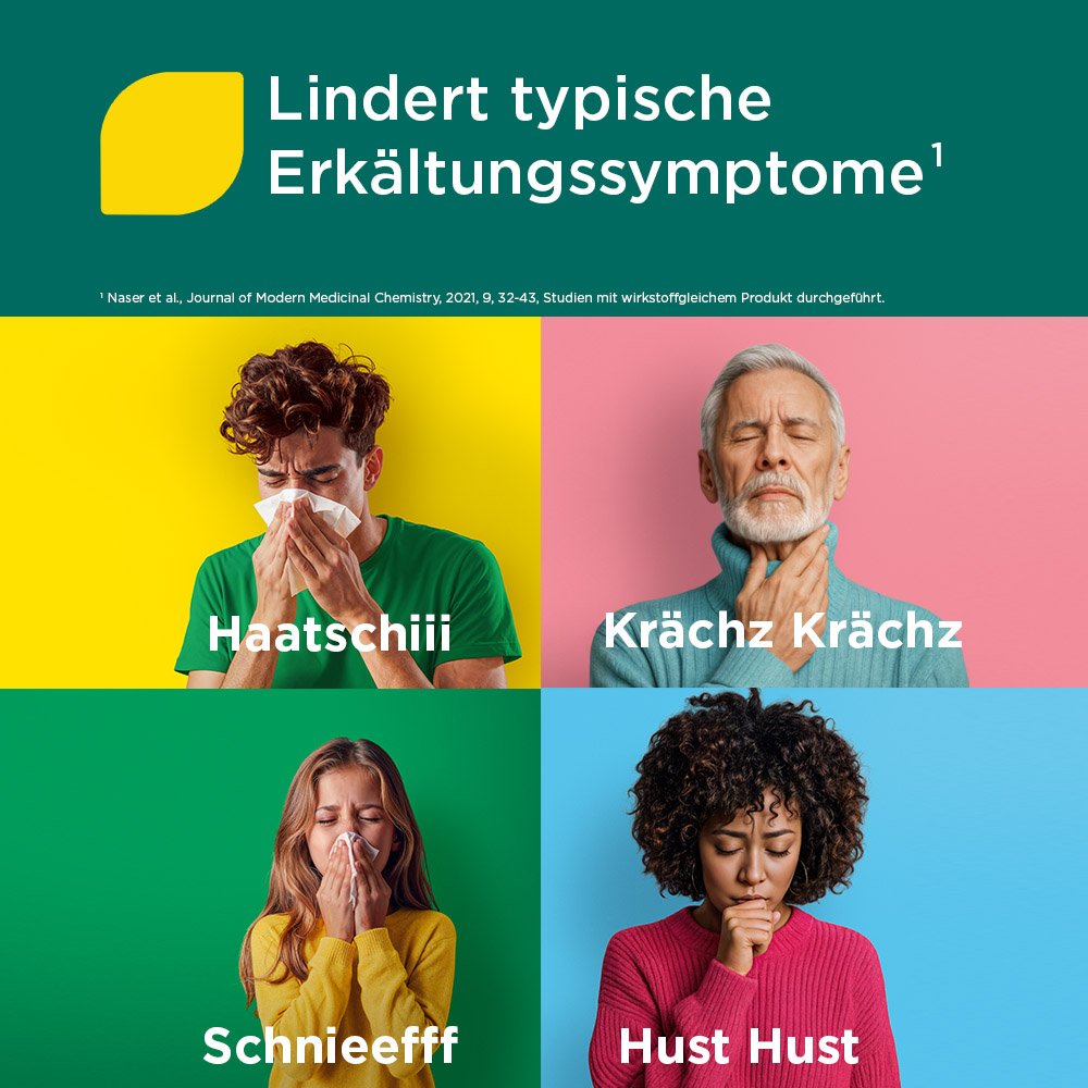 MEDITONSIN Extract pflanzliche Erkältungstabletten