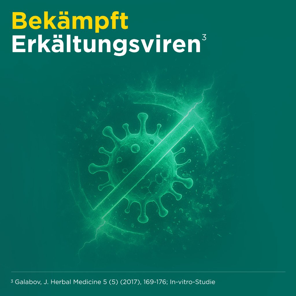 MEDITONSIN Extract pflanzliche Erkältungstabletten