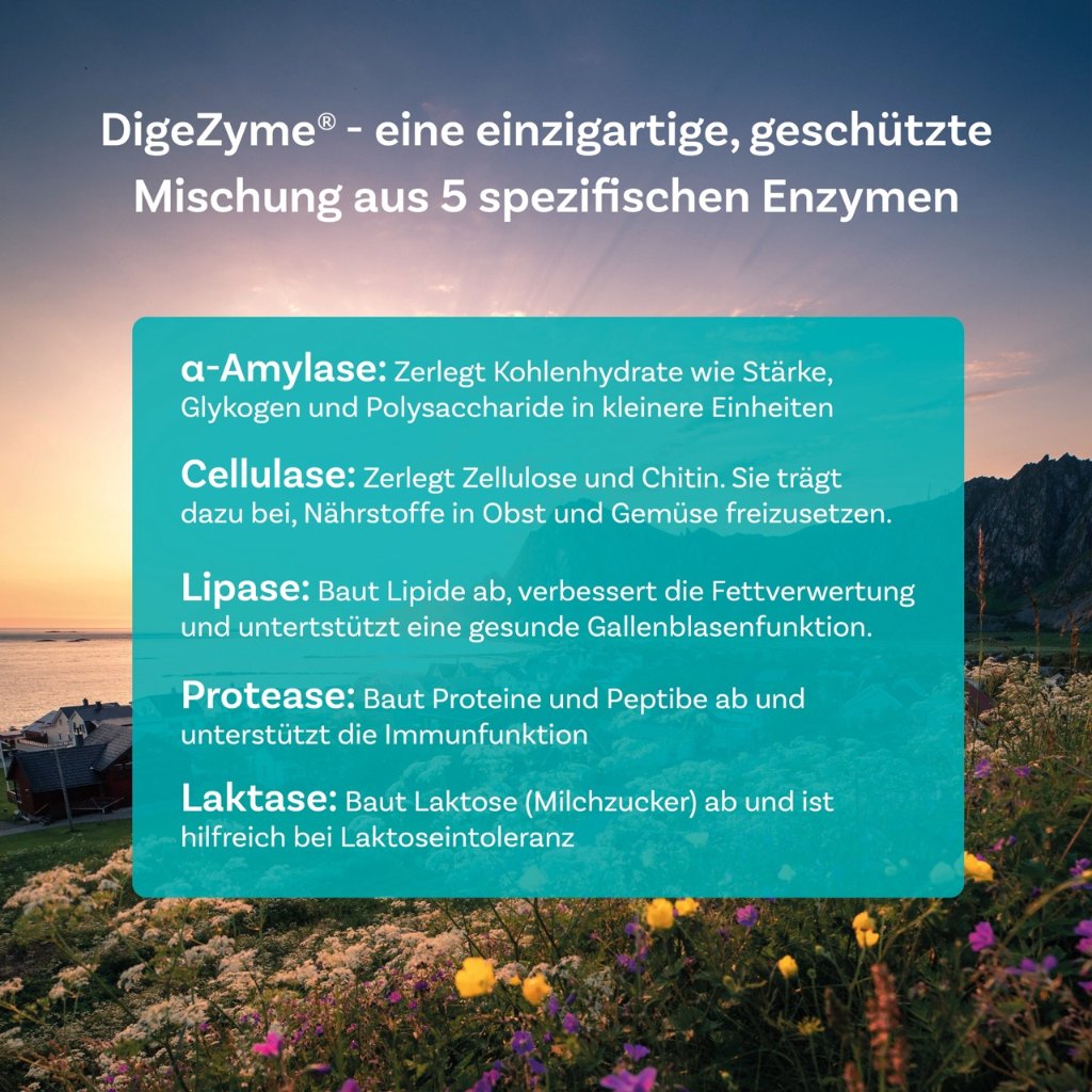 BIODIGESTIN mit DigeZyme für Magen & Darm