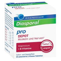 MAGNESIUM DIASPORAL pro+B-Vit.DEPOT Musk.+Nerv.Tab
