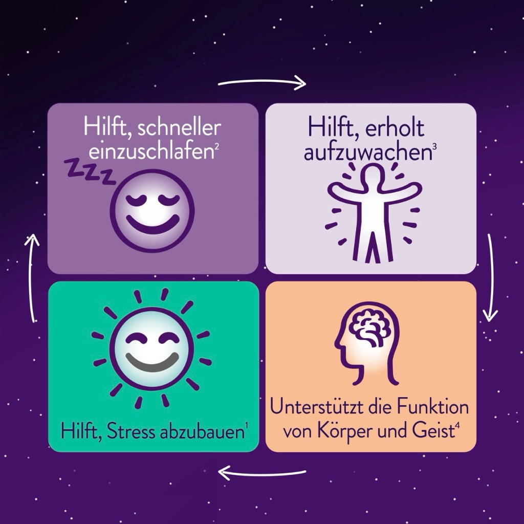 WICK ZzzQuil Gute Nacht+ Stress Balance