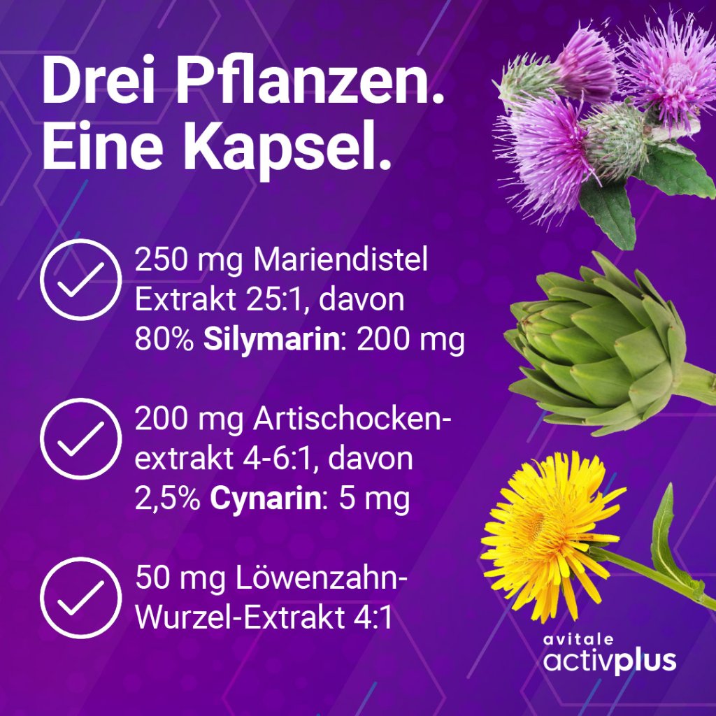 ACTIVPLUS Mariendistel+Artischocke+Löwenzahn Kaps.