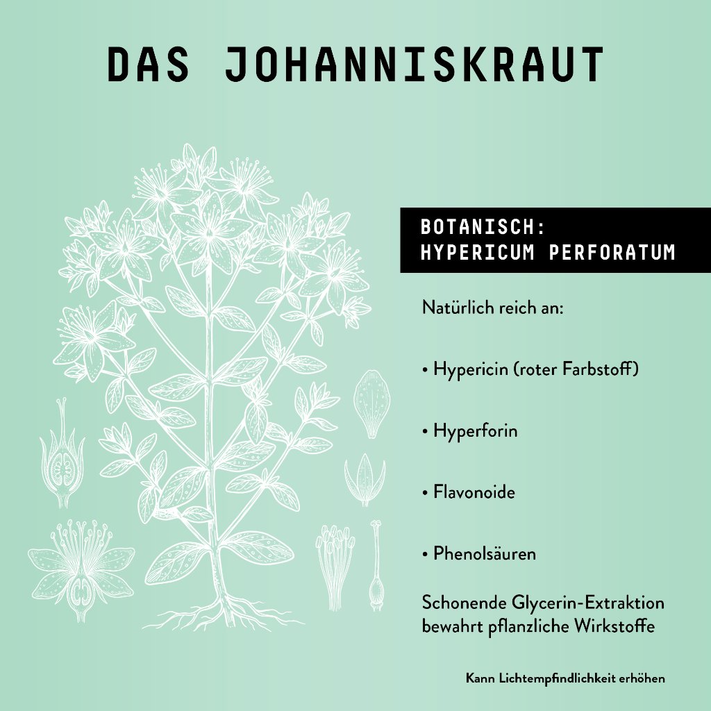 Marishanti Johanniskraut Extrakt – alkoholfrei