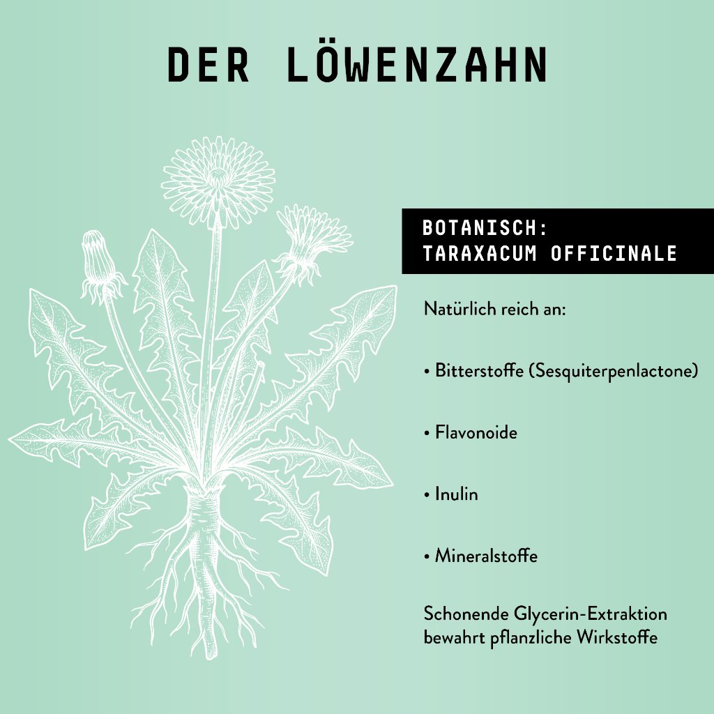 Marishanti Löwenzahnwurzel Extrakt – alkoholfrei