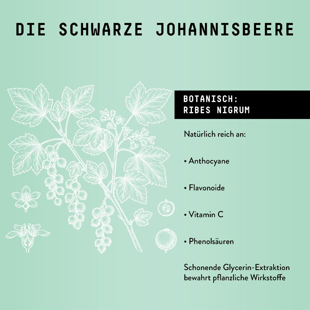 Marishanti Schwarze Johannisbeere Extrakt – alkoholfrei
