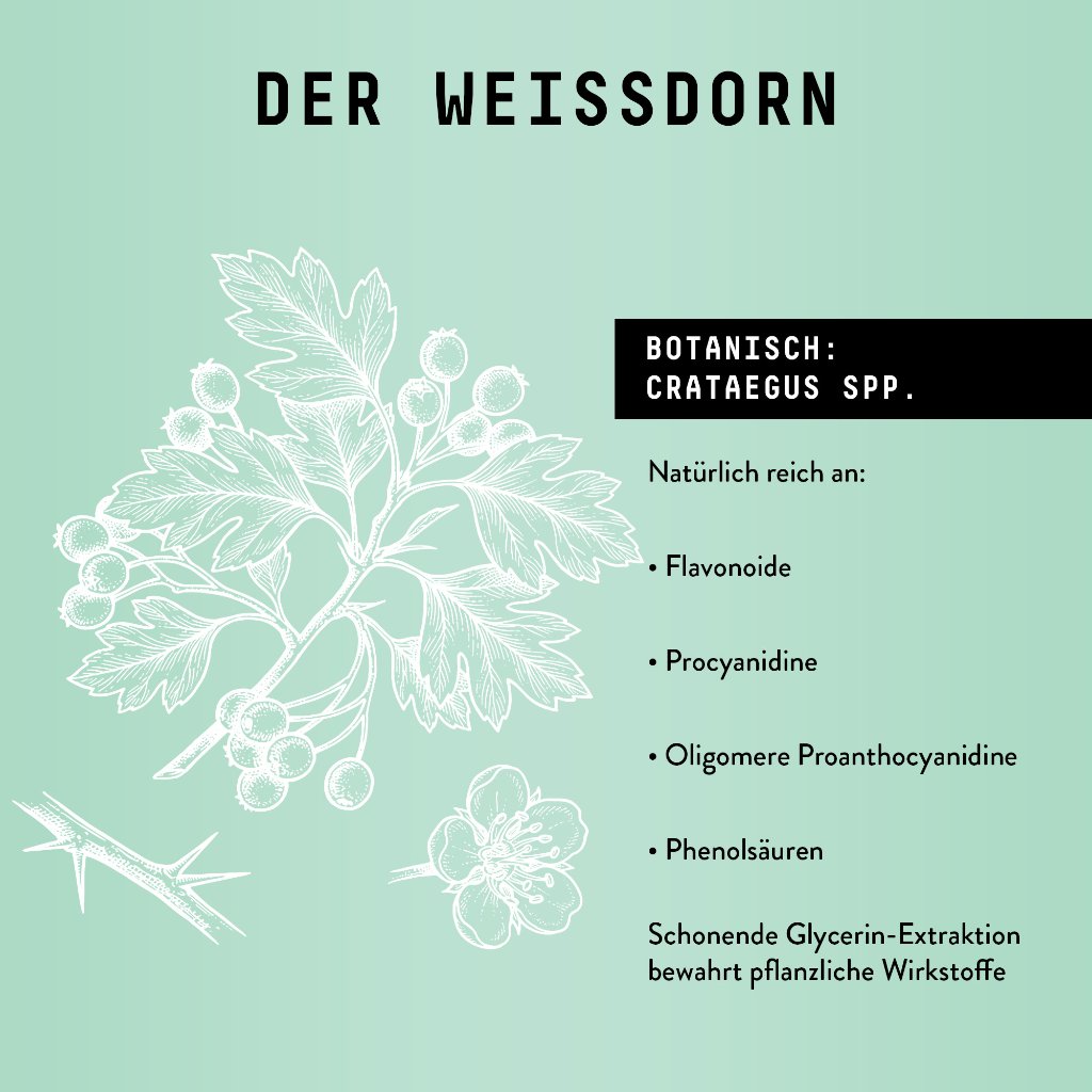 Marishanti Weißdorn Extrakt – alkoholfrei
