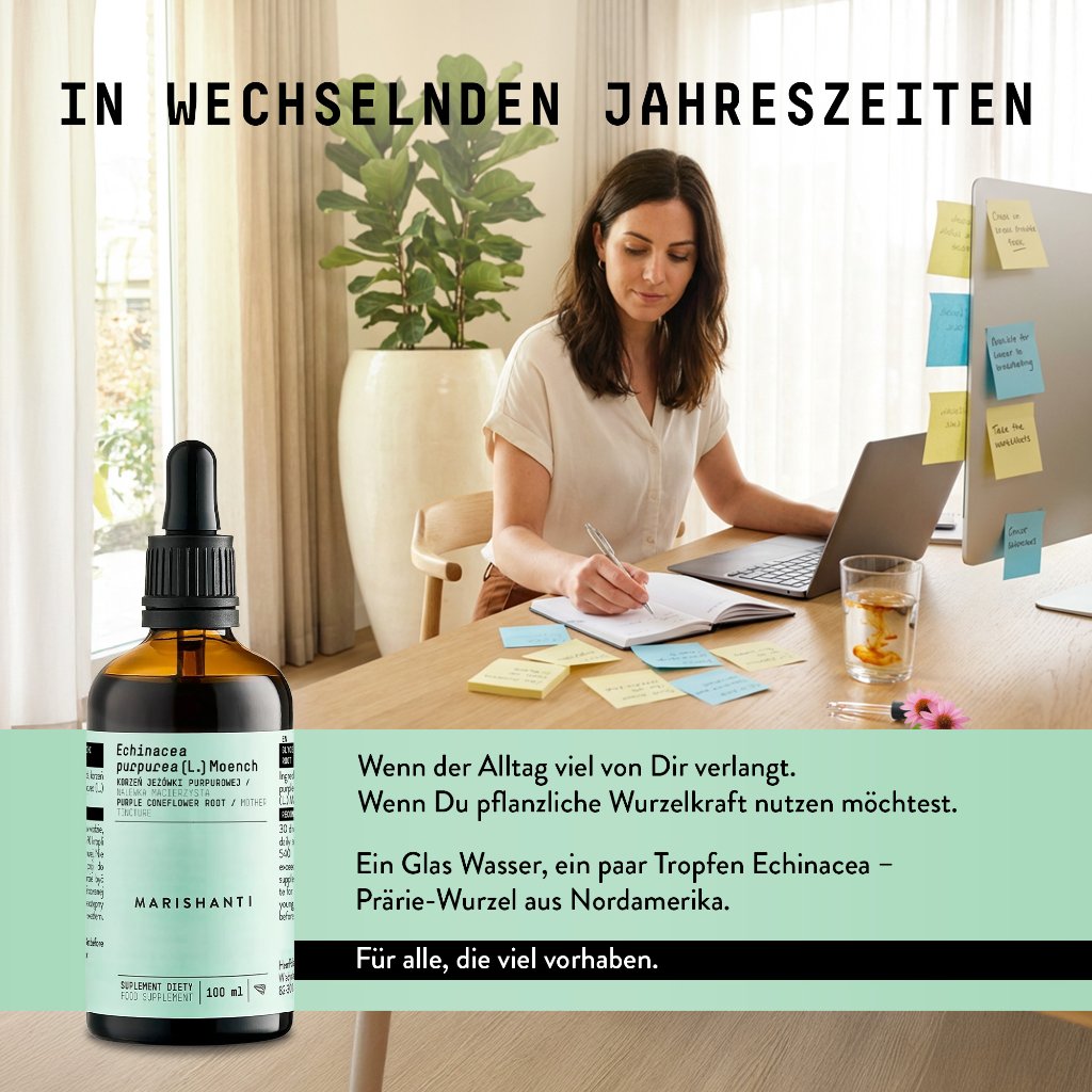 Marishanti Echinacea Extrakt – alkoholfrei