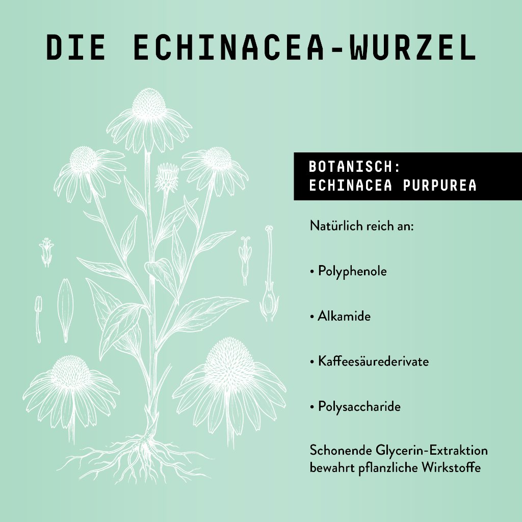 Marishanti Echinacea Extrakt – alkoholfrei