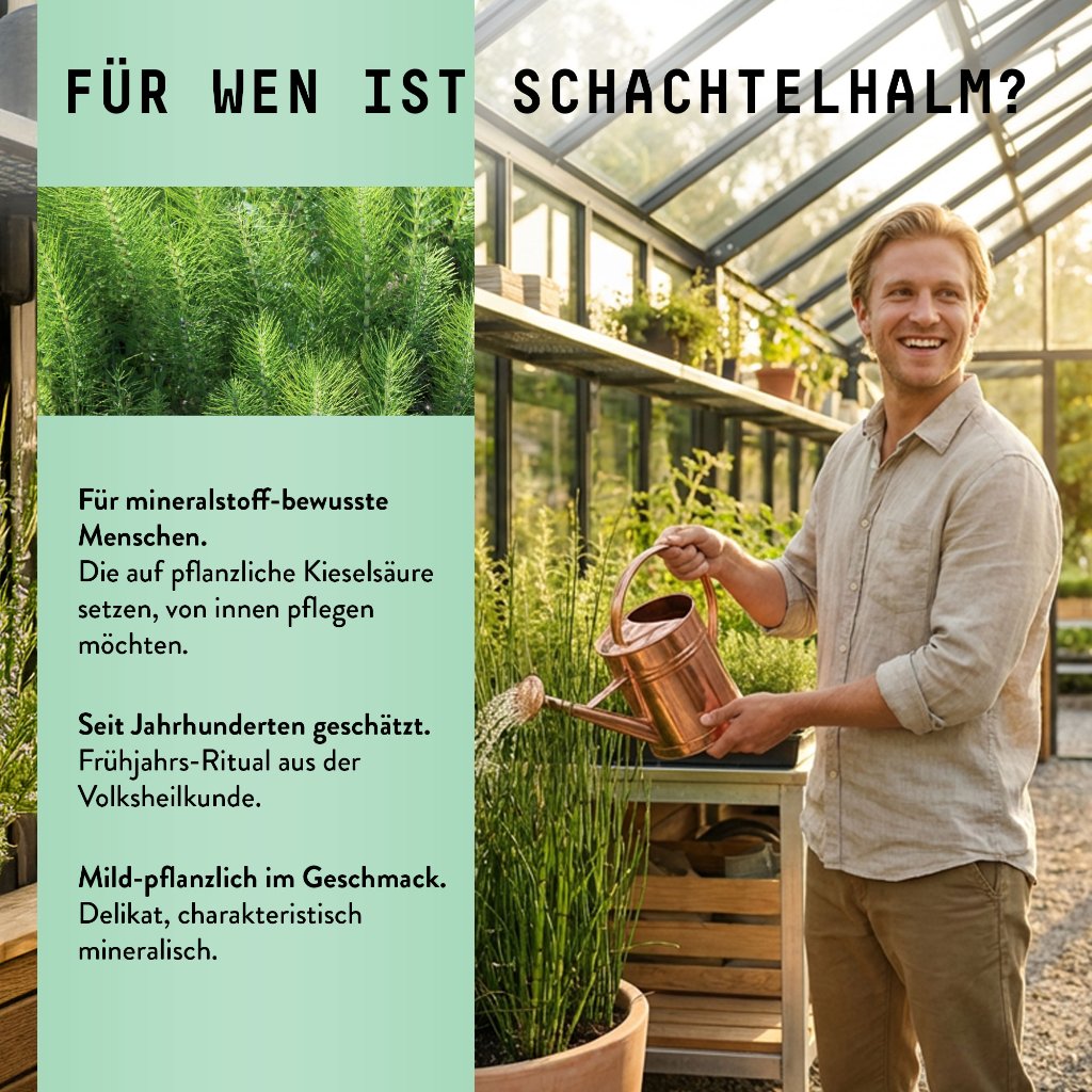 Marishanti Schachtelhalm Extrakt – alkoholfrei