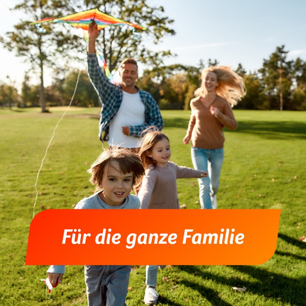 Fenistil Gel Dimetindenmaleat 1 mg/g, zur Linderung von Juckreiz, 100 g