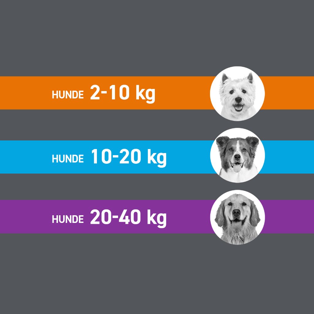 Frontline Spot on Floh- und Zeckenschutz f. Hunde M 6 Pip.