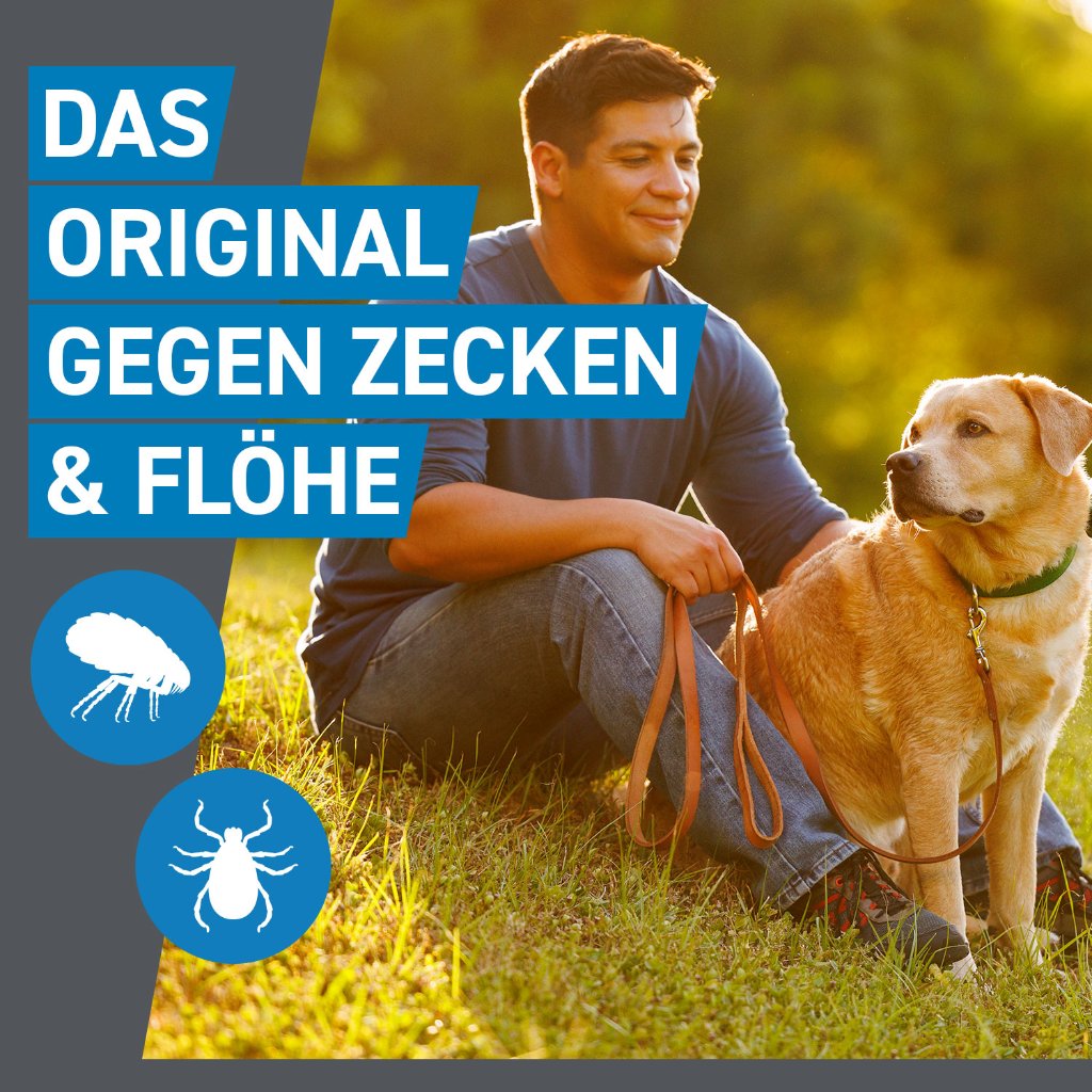 Frontline Spot on Floh- und Zeckenschutz f. Hunde L 6 Pip.