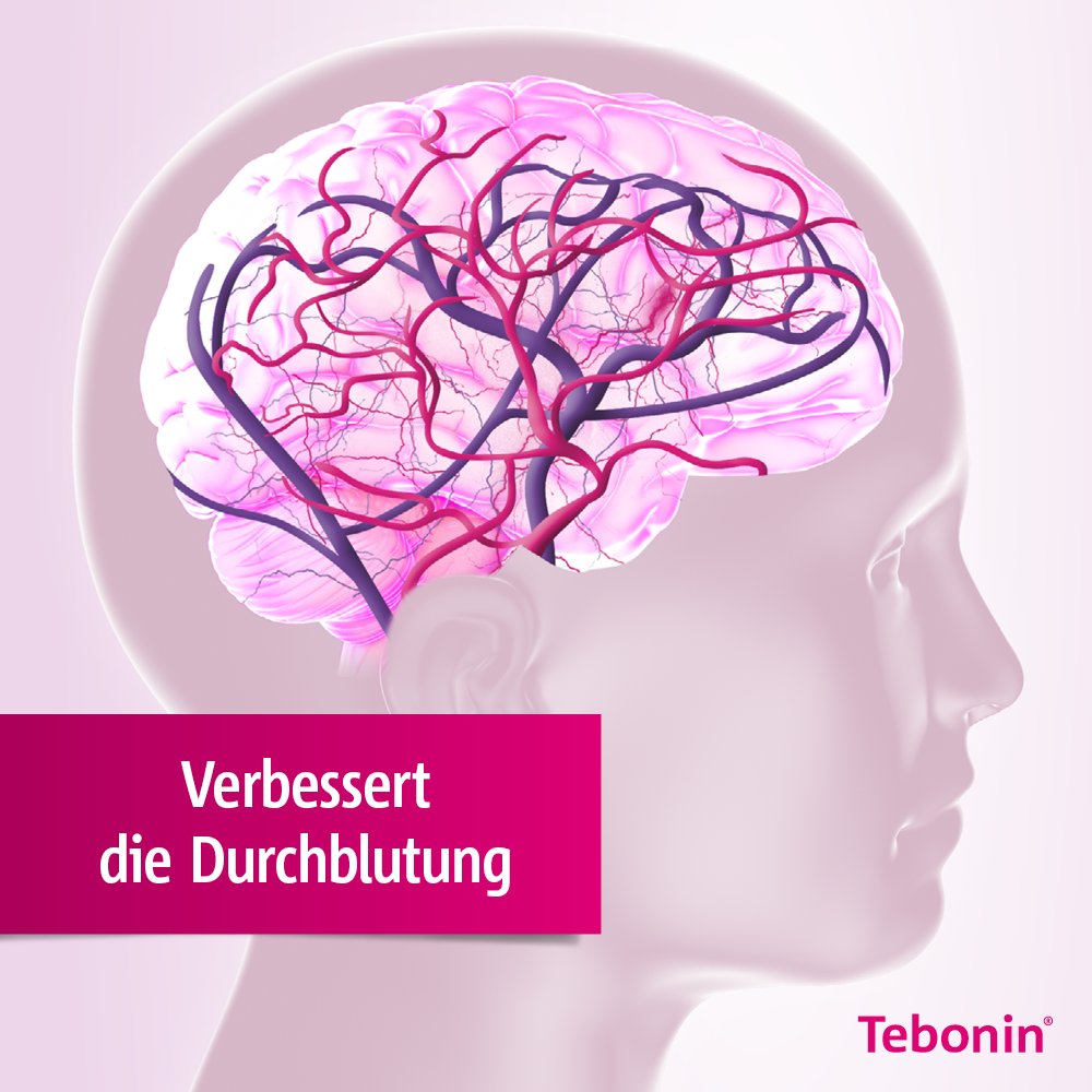 Tebonin® konzent® 240 mg Filmtabletten 80 Stück