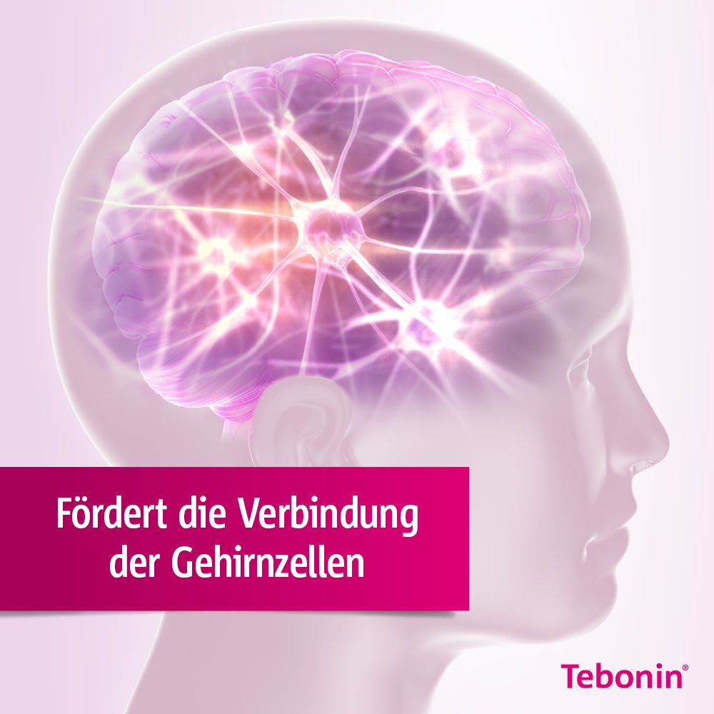 Tebonin® konzent® 240 mg Filmtabletten 80 Stück