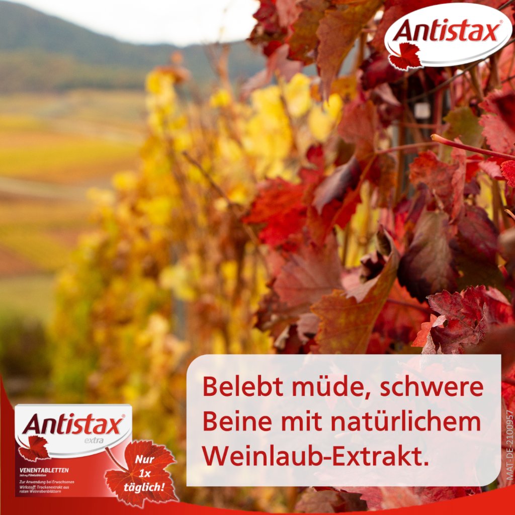 ANTISTAX extra Venentabletten
