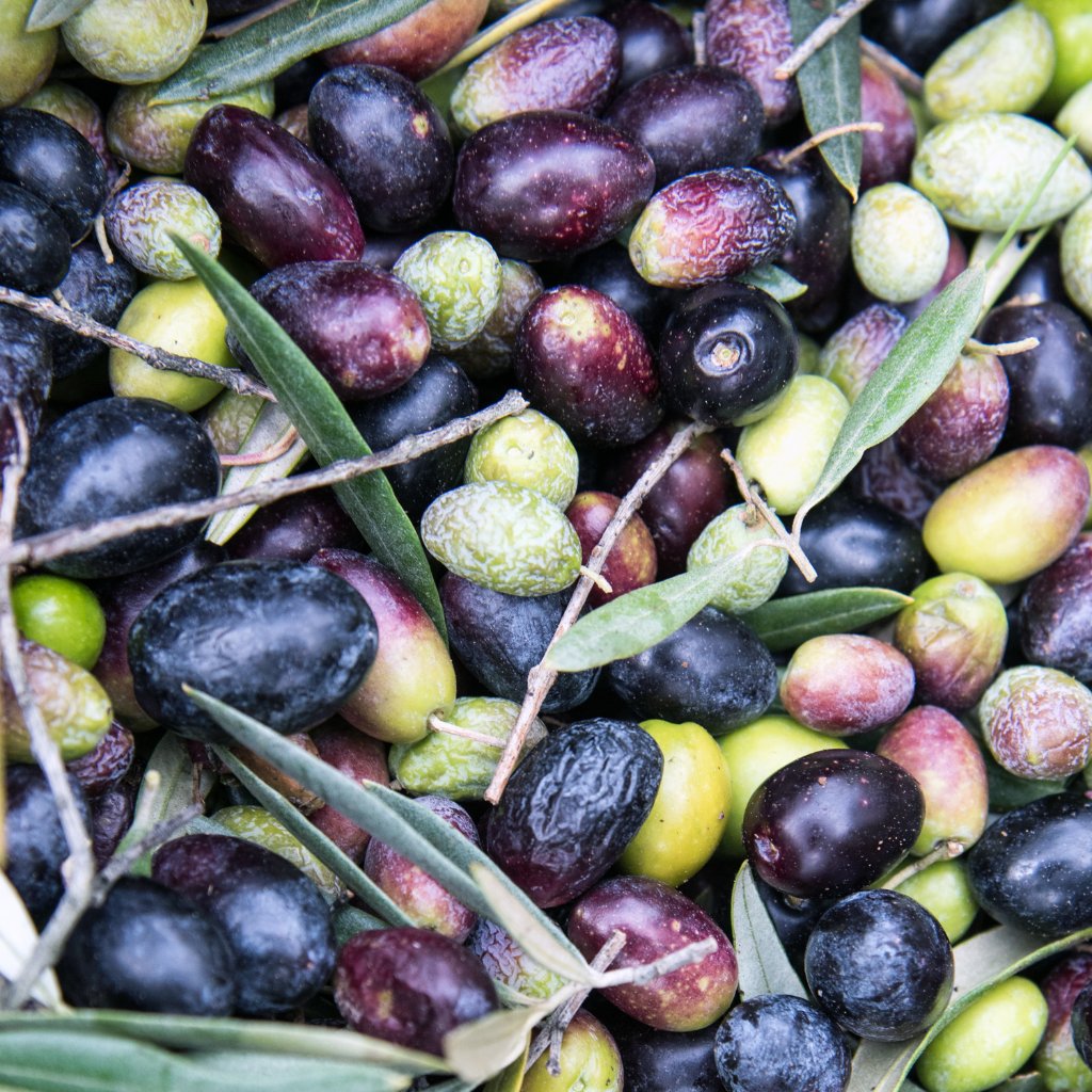 WELEDA Fußbalsam
