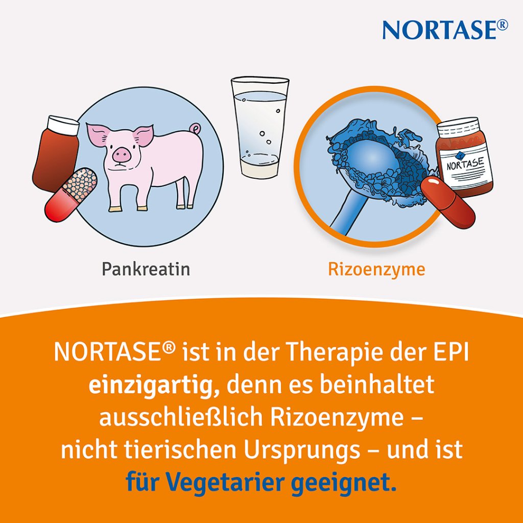NORTASE®