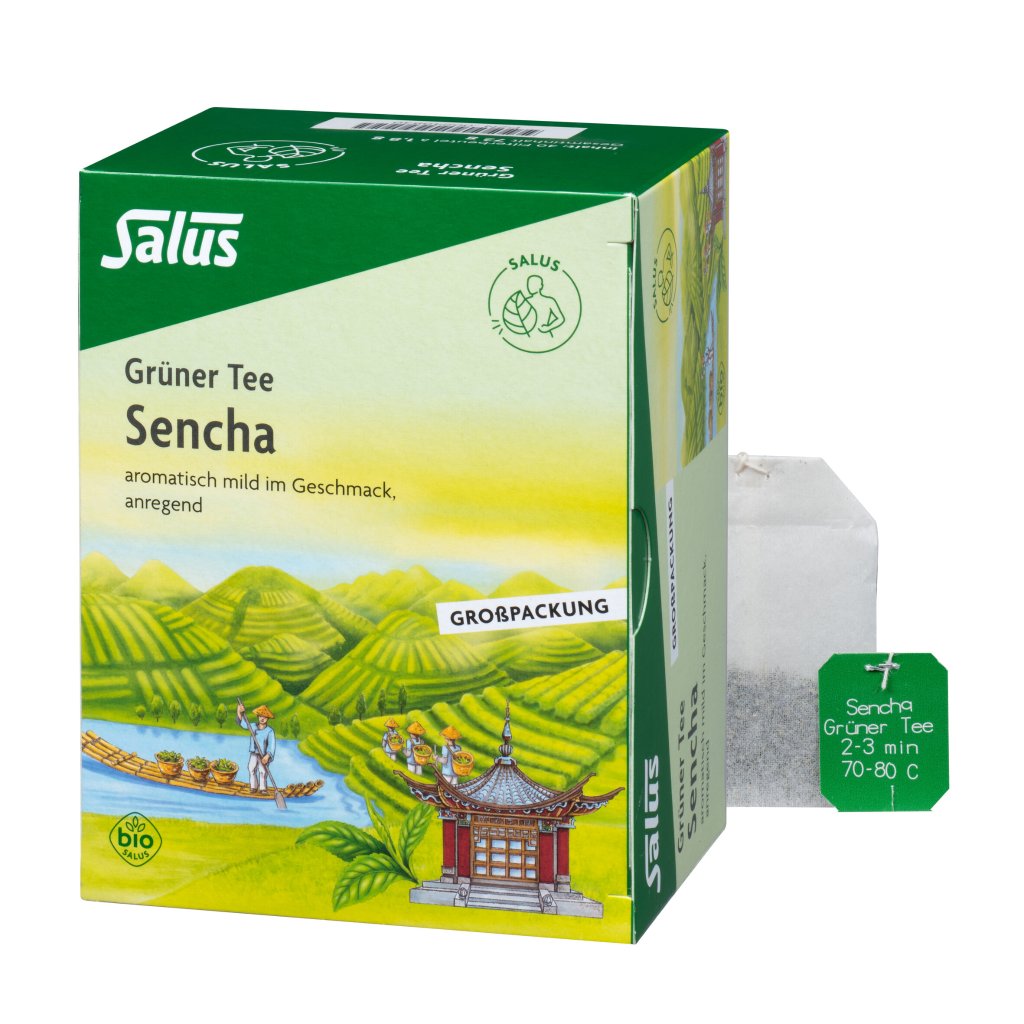 GRÜNER TEE Bio Salus Filterbeutel Großpackung