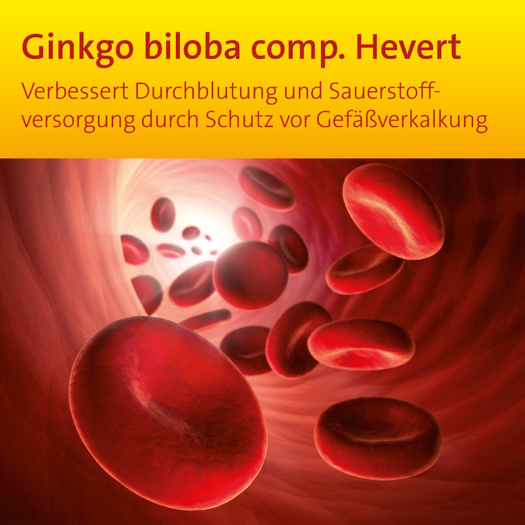 Ginkgo biloba comp. Hevert