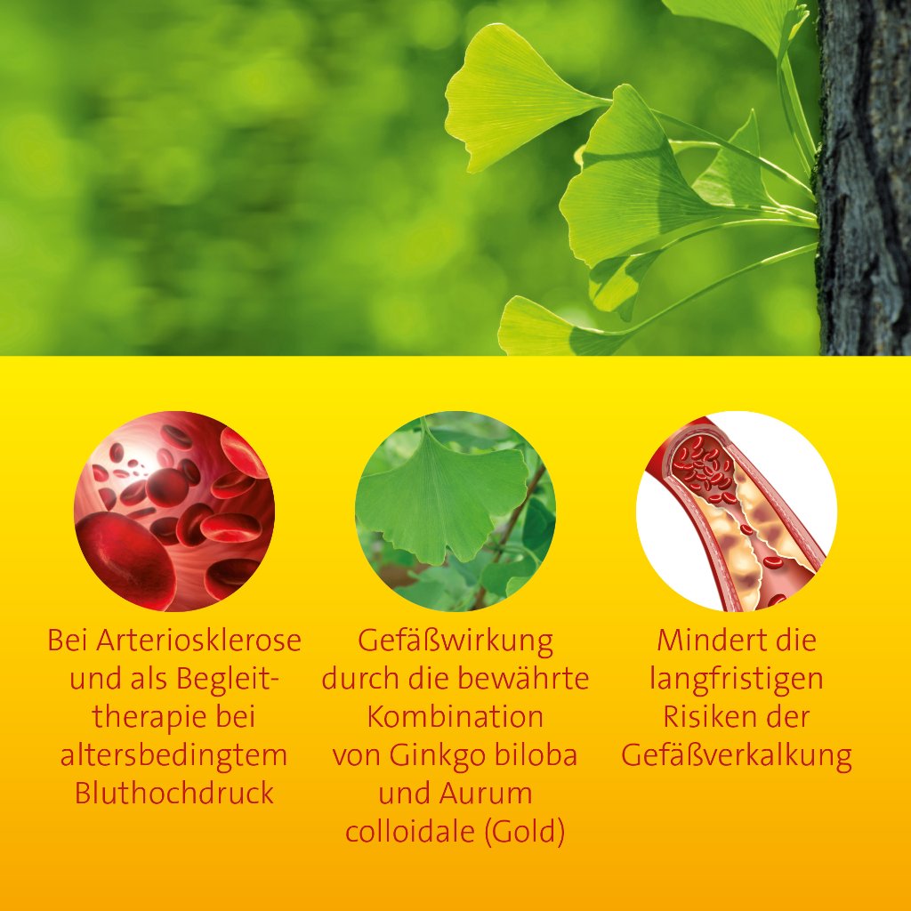 Ginkgo biloba comp. Hevert